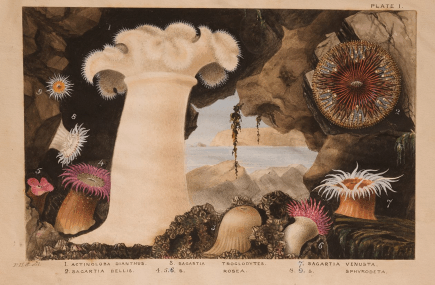 Storia dell’acquariofilia – Parte I