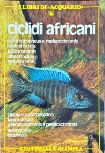 Ciclidi africani