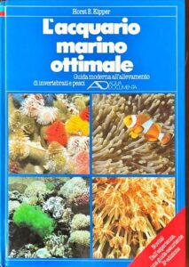 L’acquario marino ottimale