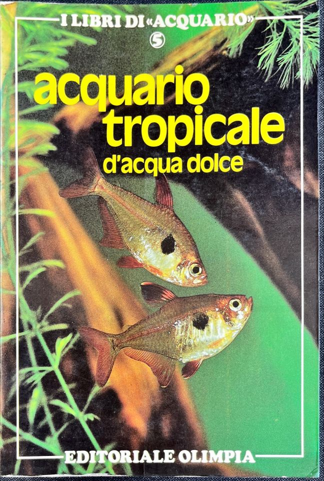Acquario tropicale d’acqua dolce