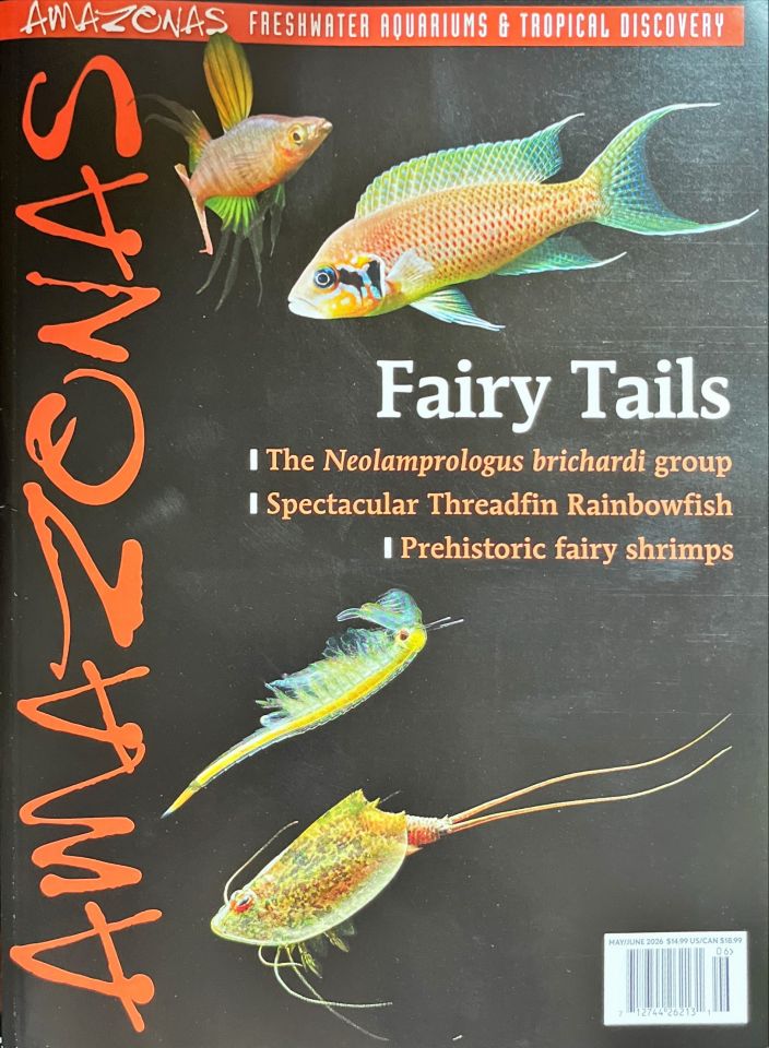Amazonas volume 15 n.3