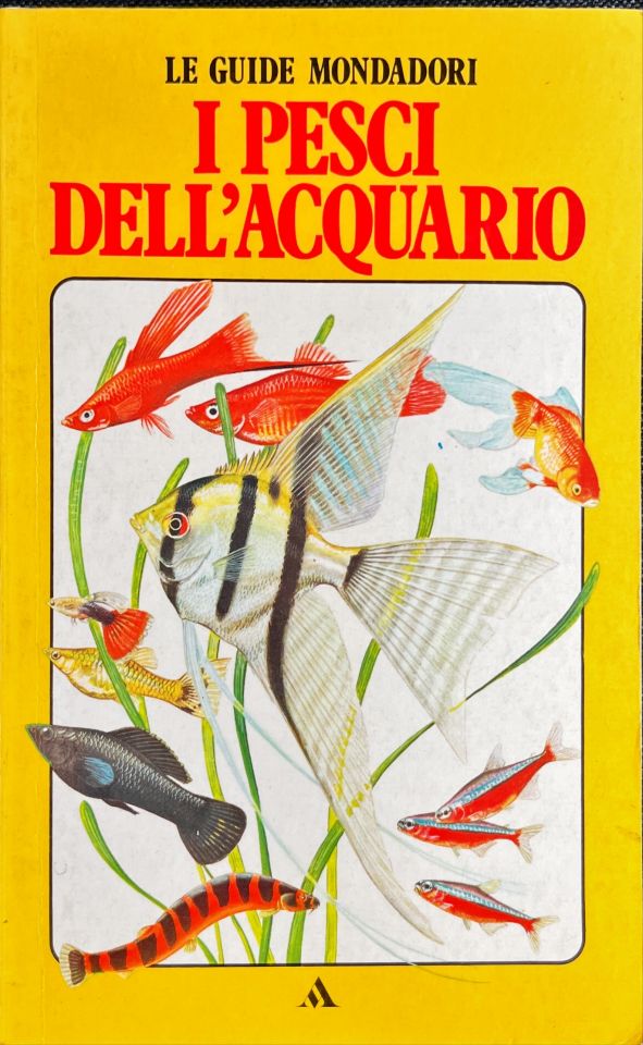 I pesci dell’acquario