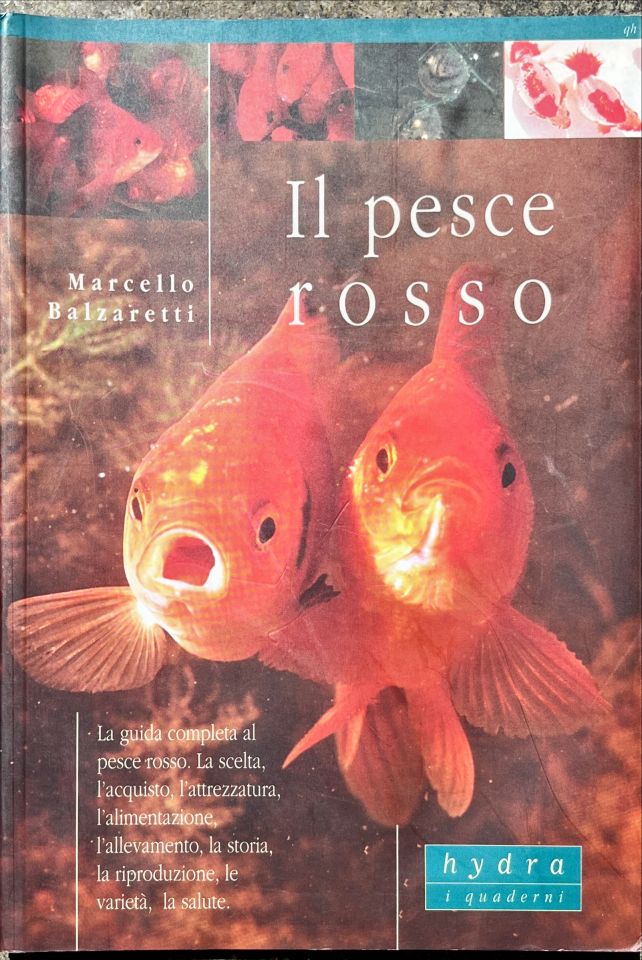 Il pesce rosso