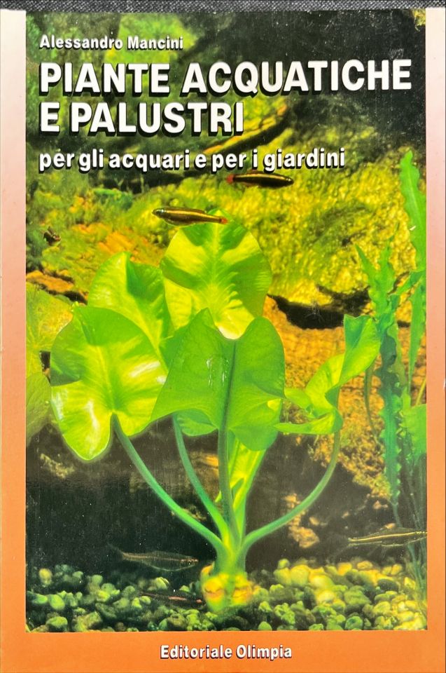 Piante acquatiche e lacustri
