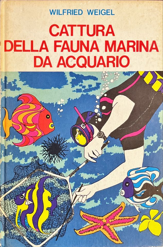 Cattura della fauna marina d’acquario