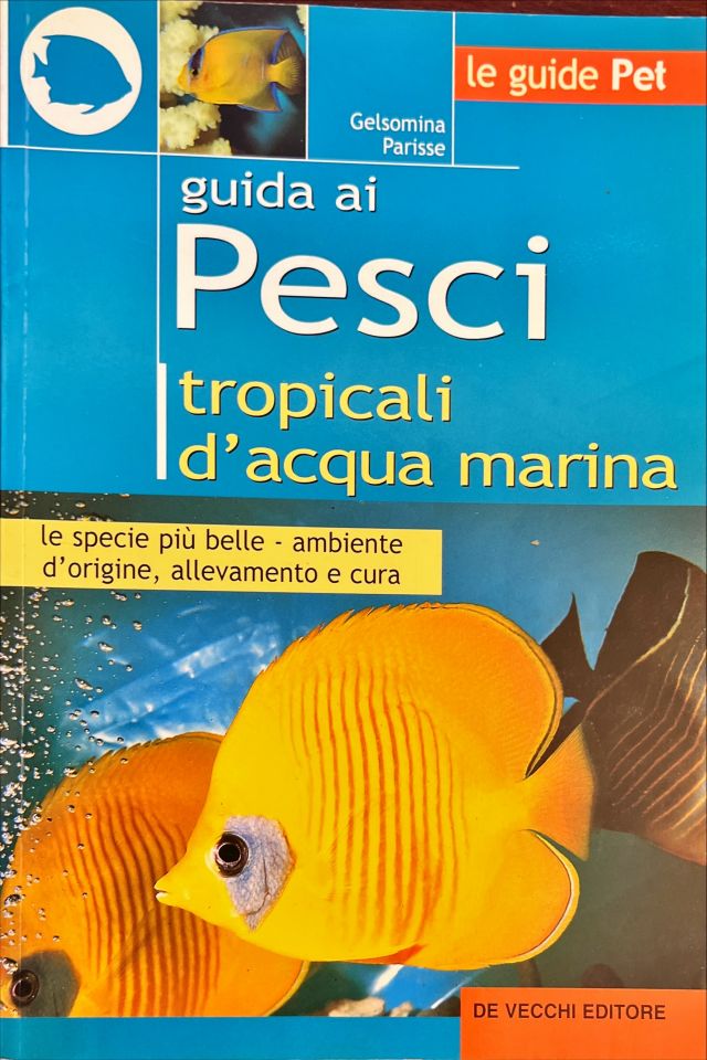 Guida ai pesci tropicali d’acqua marina