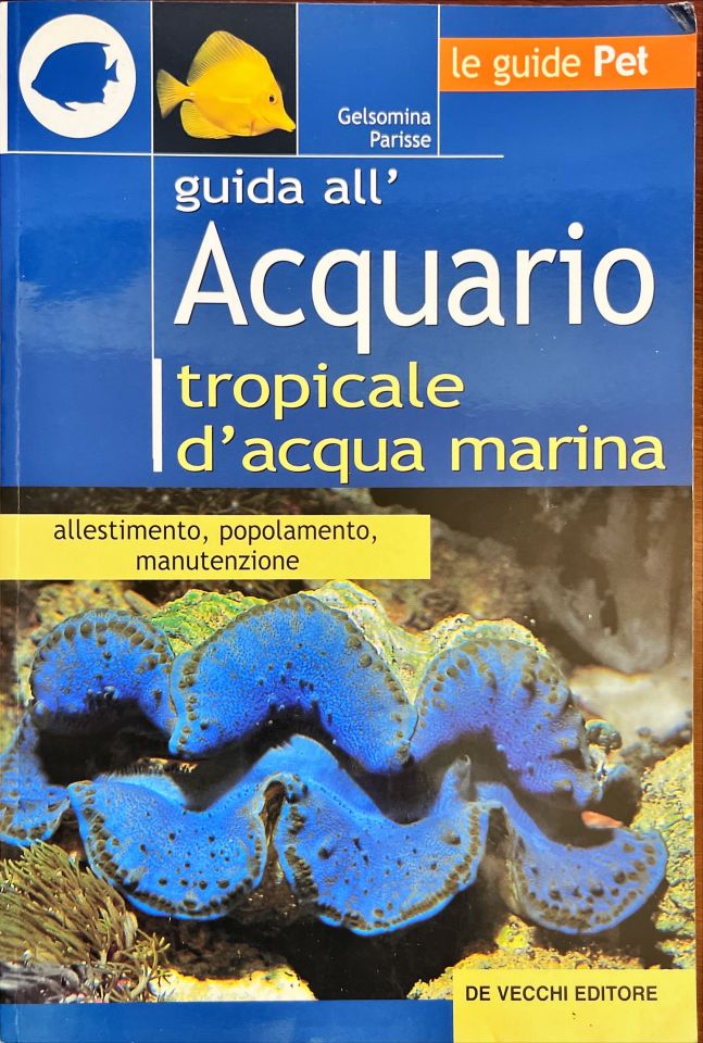 Guida all’acquario tropicale d’acqua marina