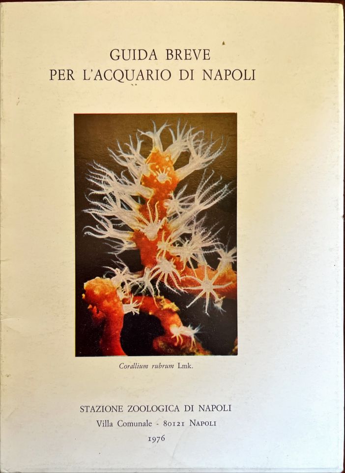 Guida breve per l’acquario di Napoli