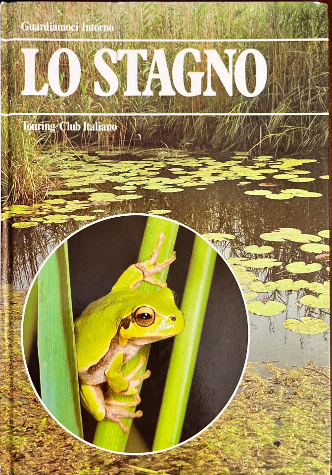 Lo stagno