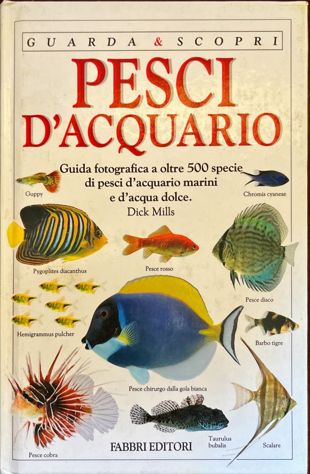 Pesci d’acquario