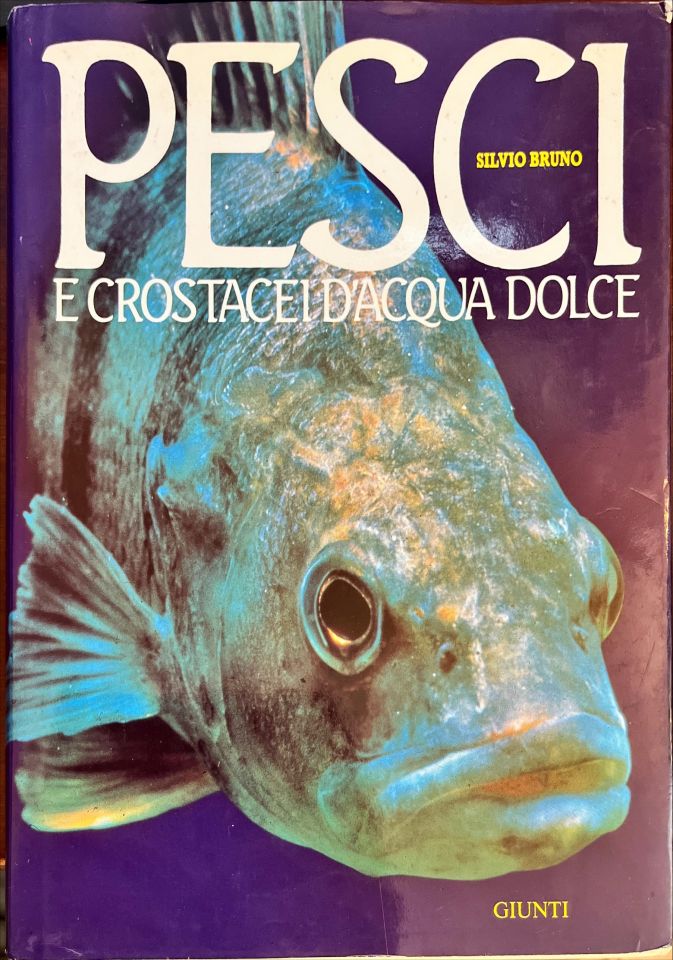 Pesci e crostacei d’acqua dolce