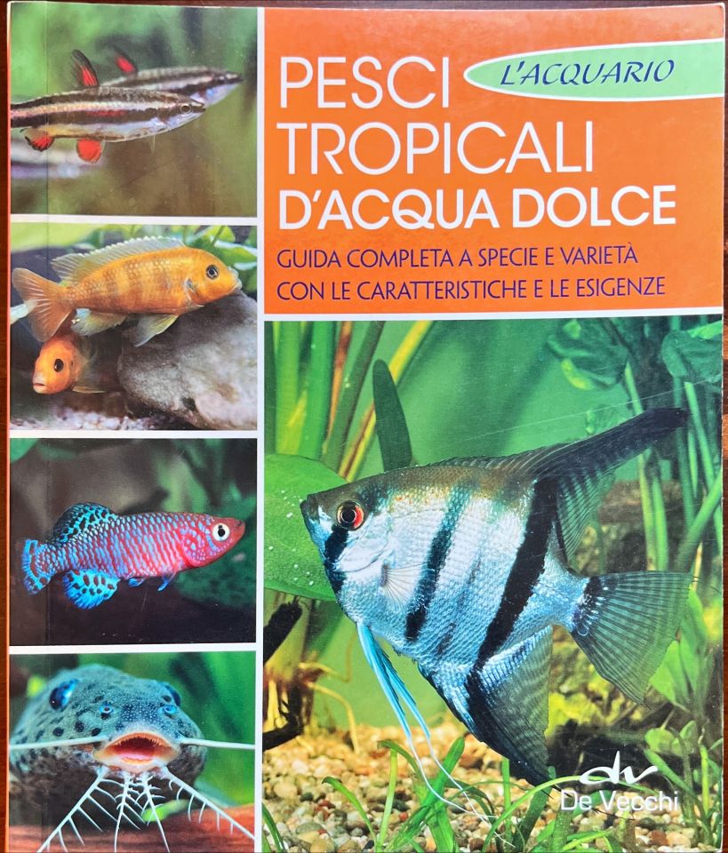 Pesci tropicali d’acqua dolce