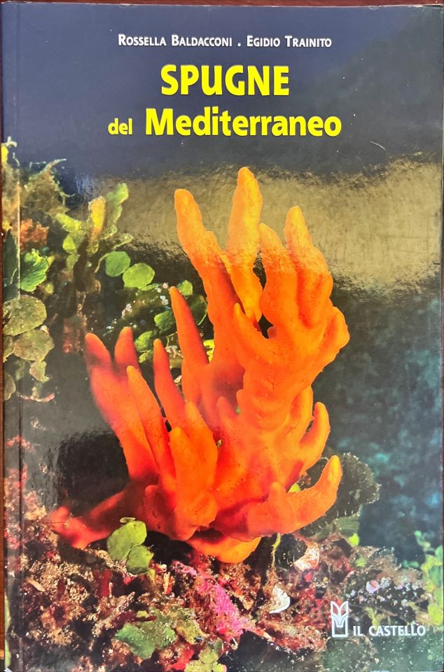 Spugne del mediterraneo